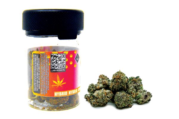 Beezwax Rainbow Sherbet Hybrid Flower