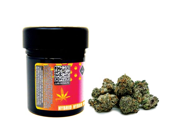 Beezwax Rainbow Sherbet Hybrid Flower
