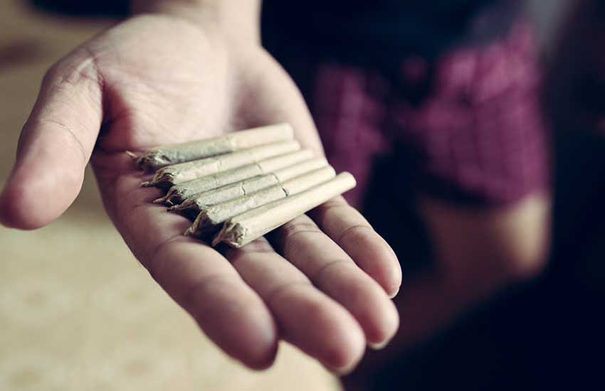 Hemp Pre-Rolls
